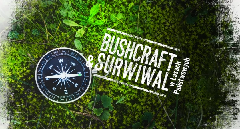 Zdjęcie: Bushcraft i surwiwal w Lasach Państwowych