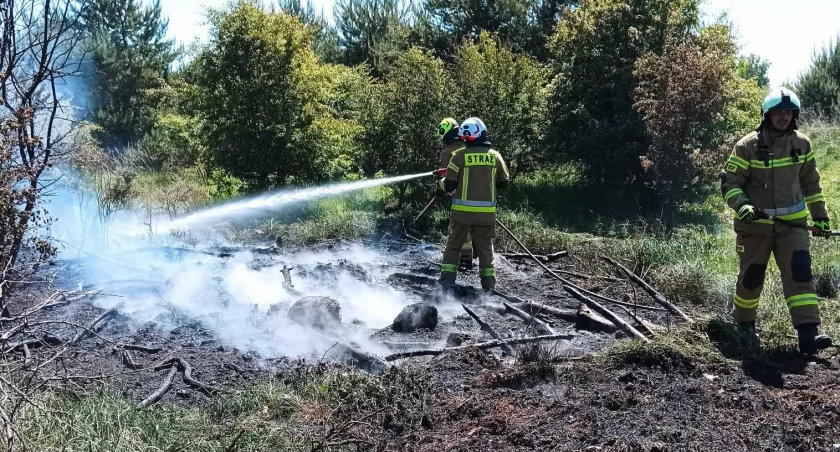 Strażacy dzielnie walczyli z żywiołem