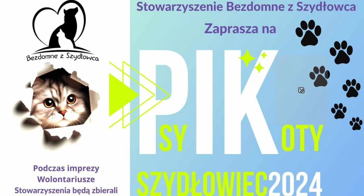 Imprezy plenerowe , Szydłowiec - zdjęcie, fotografia