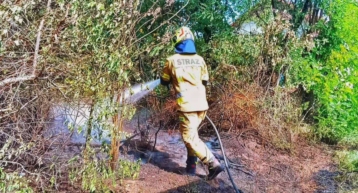 Pożary , Iskry linii energetycznej spowodowały pożar Krogulczej Mokrej - zdjęcie, fotografia