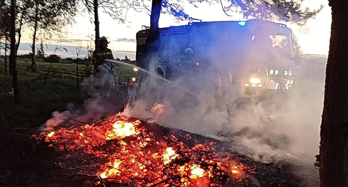 Pożary , Intensywna sobota strażaków Skuteczne akcje gaśnicze Krogulczej Mokrej Orońsku - zdjęcie, fotografia