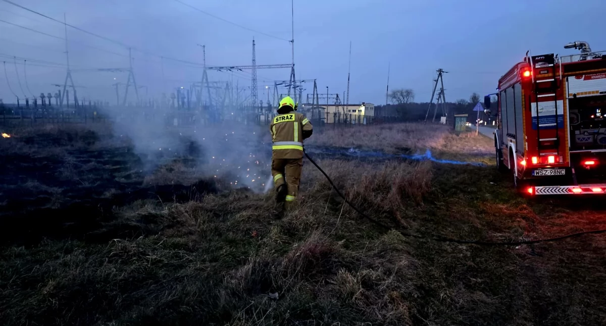 Pożary , Pożar suchych Chronówku - zdjęcie, fotografia