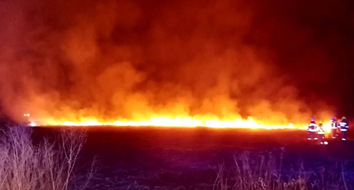 Pożary , pożarów suchych traw! Strażacy interweniowali kilkukrotnie jednego - zdjęcie, fotografia