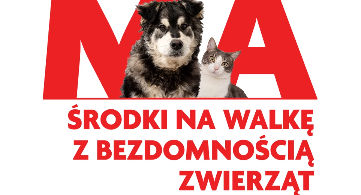 Finanse , Mazowsze zwierząt pieniądze walkę bezdomnością psów kotów Chlewisk Jastrzębia Mirowa Orońska - zdjęcie, fotografia