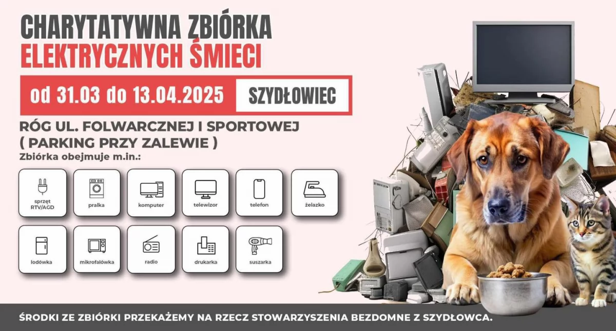 Pomagamy , Charytatywna zbiórka elektrośmieci Szydłowcu pomóż zwierzętom zadbaj środowisko! - zdjęcie, fotografia