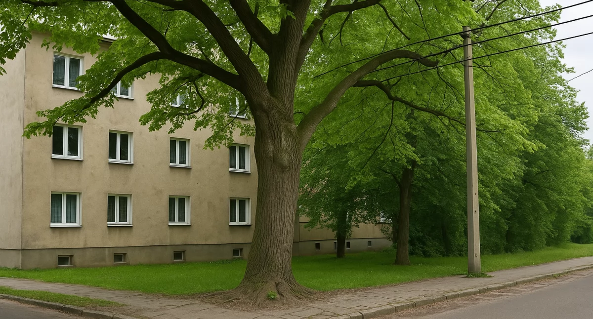 fot. zdjęcie sytuacyjne