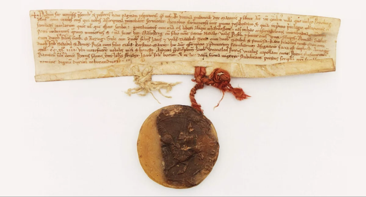 Zdjęcie: Bolesław książę mazowiecki nadaje klasztorowi w Czerwińsku wieś Powielin (Codex diplomaticus et commemorationum Masoviae generalis, wyd. J. K. Kochanowski, Warszawa 1919, nr 447). Archiwum Główne Akt Dawnych, Zbiór dokumentów pergaminowych nr 6436