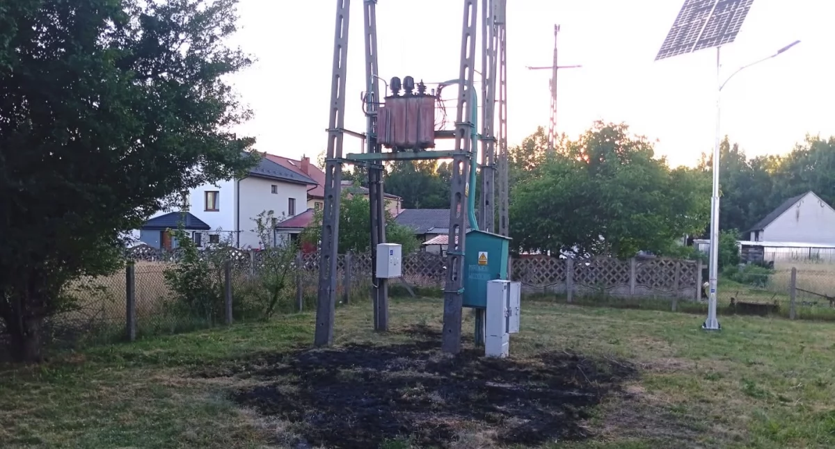 fot. gm. Mirów