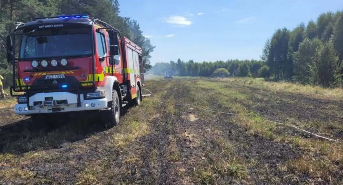 Straż Pożarna, Wilcza Gąsawy Lipienice Sulistrowice Omięcin tylko płonący leśny czwartek - zdjęcie, fotografia