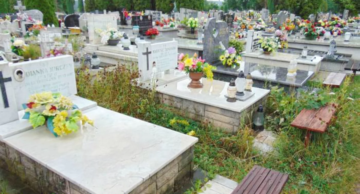 Komunikaty , zapłacimy miejsce cmentarzu stawki Szydłowcu - zdjęcie, fotografia