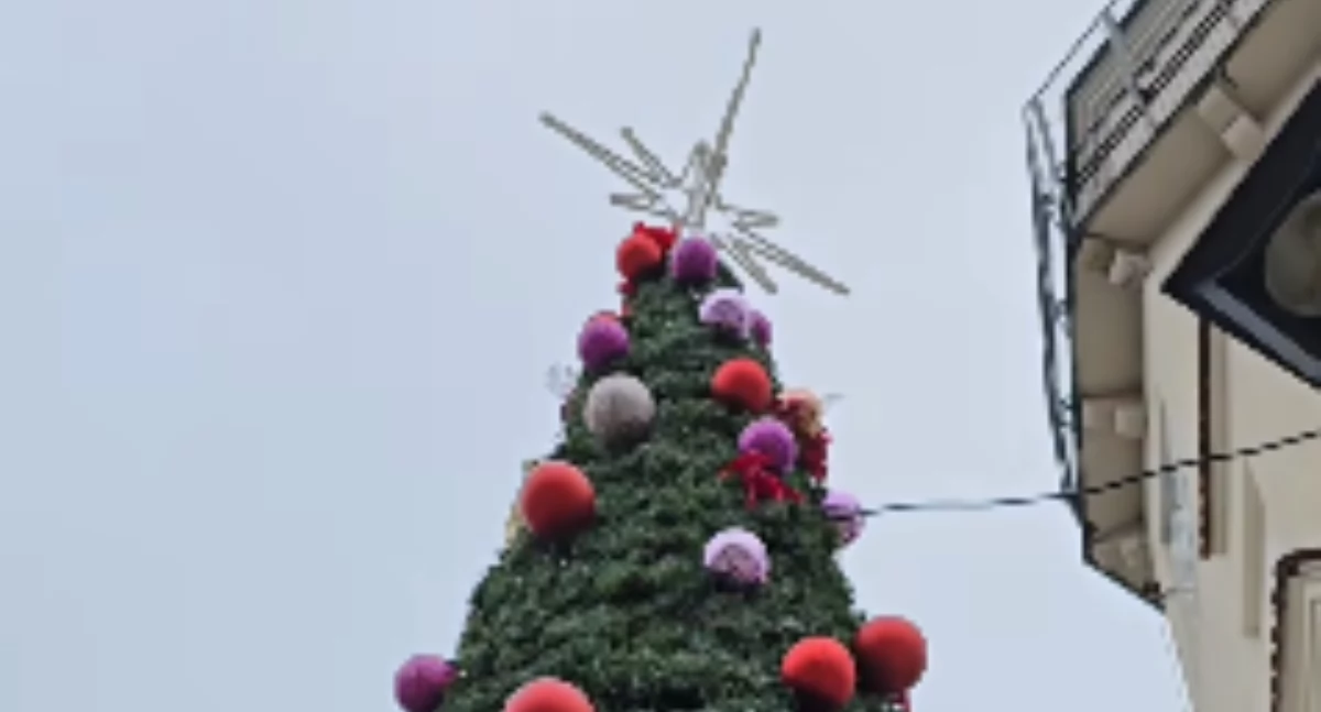 fot. gm. Szydłowiec