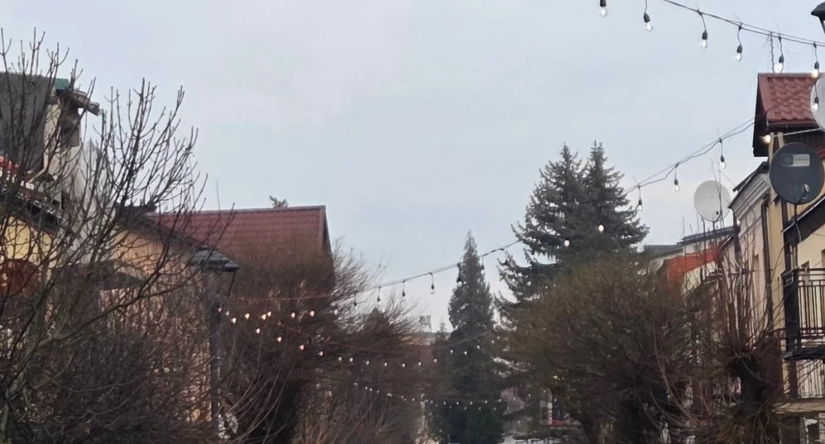 fot. gm. Szydłowiec