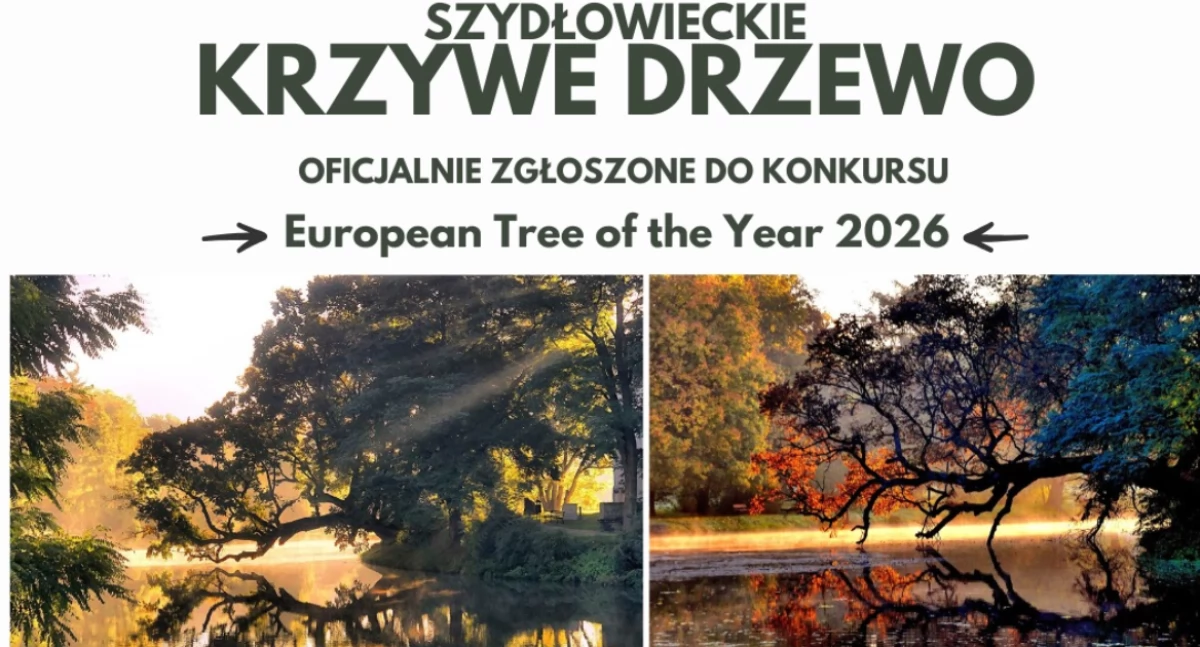 fot. gm. Szydłowiec