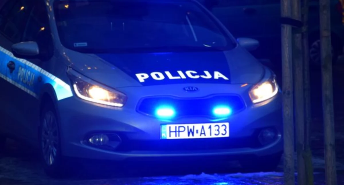 Komunikaty , Policja poszukuje świadków potrącenia Gąsawach Plebańskich - zdjęcie, fotografia