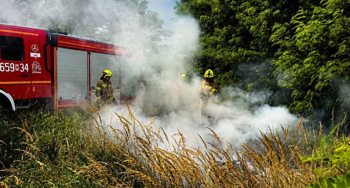 Pożary , Interweniowały zastępy straży pożarnej Pożar lesie Chronówku - zdjęcie, fotografia