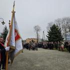 zdjęcie nr 8