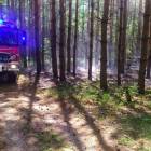Fotka nr 1 z 2