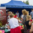 zdjęcie nr 10