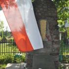 zdjęcie nr 13