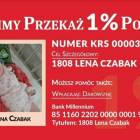 zdjęcie nr 18