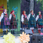 zdjęcie nr 16
