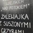Fotka nr 2 z 4