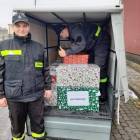 Fotka nr 2 z 7