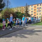 zdjęcie nr 15
