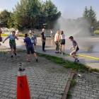 Fotka nr 3 z 10