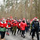 Mikołajkowy Nordic Walking w Nadleśnictwie Kozienice (fot. Beata Okulińska)