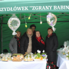 Fotka nr 1 z 10
