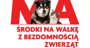 Mazowsze dla zwierząt – pieniądze na walkę z bezdomnością psów i kotów dla Chlewisk, Jastrzębia, Mirowa i  Orońska