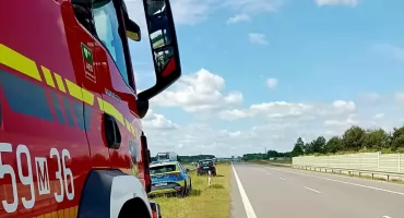 Zderzenie auta z bocianem na trasie S7. Ptak nie przeżył