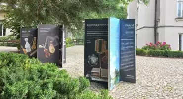 Muzeum instrumentów eksponuje i promuje. Diabelskie skrzypce i burczybas