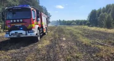 Wilcza Wola, Gąsawy, Lipienice, Sulistrowice i Omięcin. Nie tylko płonący leśny czwartek