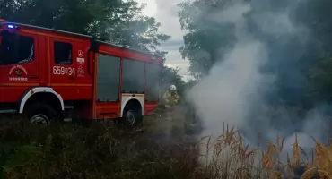 Strażacy walczyli z ogniem w Guzowie i Śniadkowie