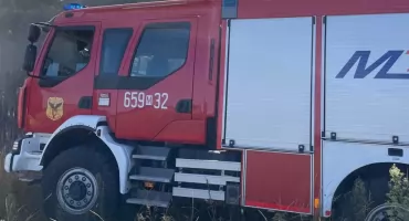 Pożar nieużytków i lasu w Lipienicach Dolnych – interweniowały trzy jednostki