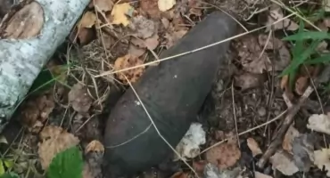 Granat moździerzowy odkryty w gminie Chlewiska. Interweniowali saperzy