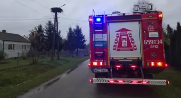 Strażacy z Orońska i Szydłowca w akcji. Łabędź uwolniony z pułapki na wodzie i pożar gniazda bocianiego