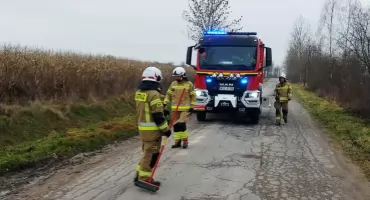 Strażacy neutralizują plamę oleju na trasie Łaziska–Chronów