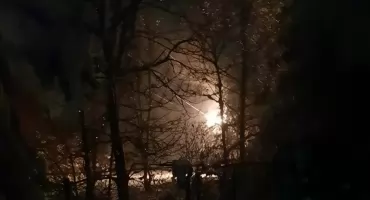 Nietypowa interwencja strażaków w Orońsku. Drzewo na liniach wysokiego napięcia