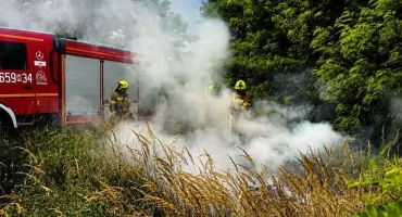 Interweniowały trzy zastępy straży pożarnej. Pożar przy lesie w Chronówku